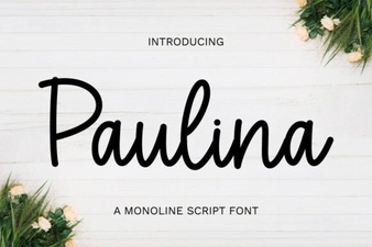 Paulina Font Design Projects and Usage Tips
